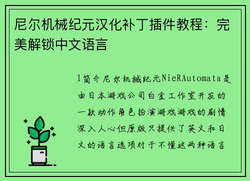 尼尔机械纪元汉化补丁插件教程：完美解锁中文语言