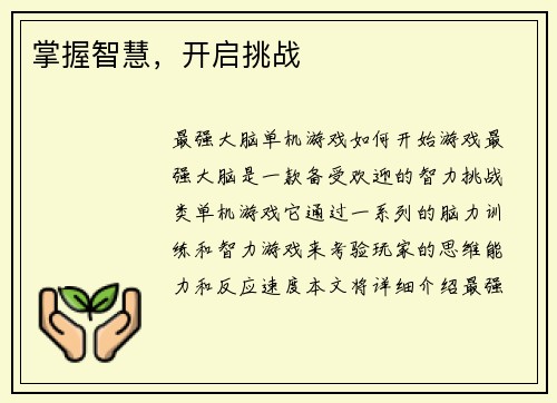 掌握智慧，开启挑战